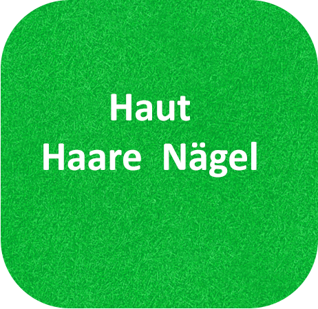 Haut Haare Nägel
