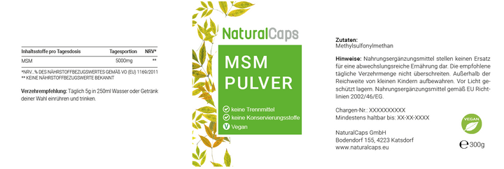 MSM Pulver