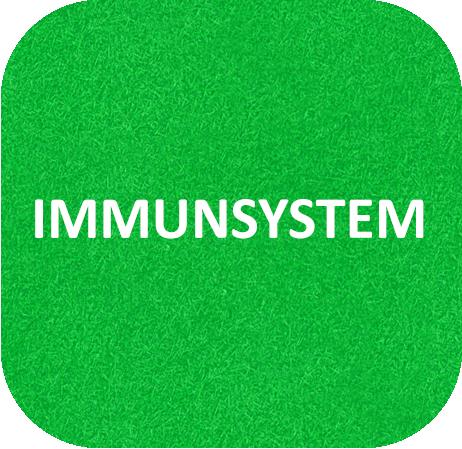 Immunsystem
