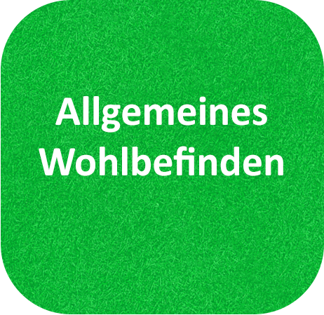 Allgemeines Wohlbefinden